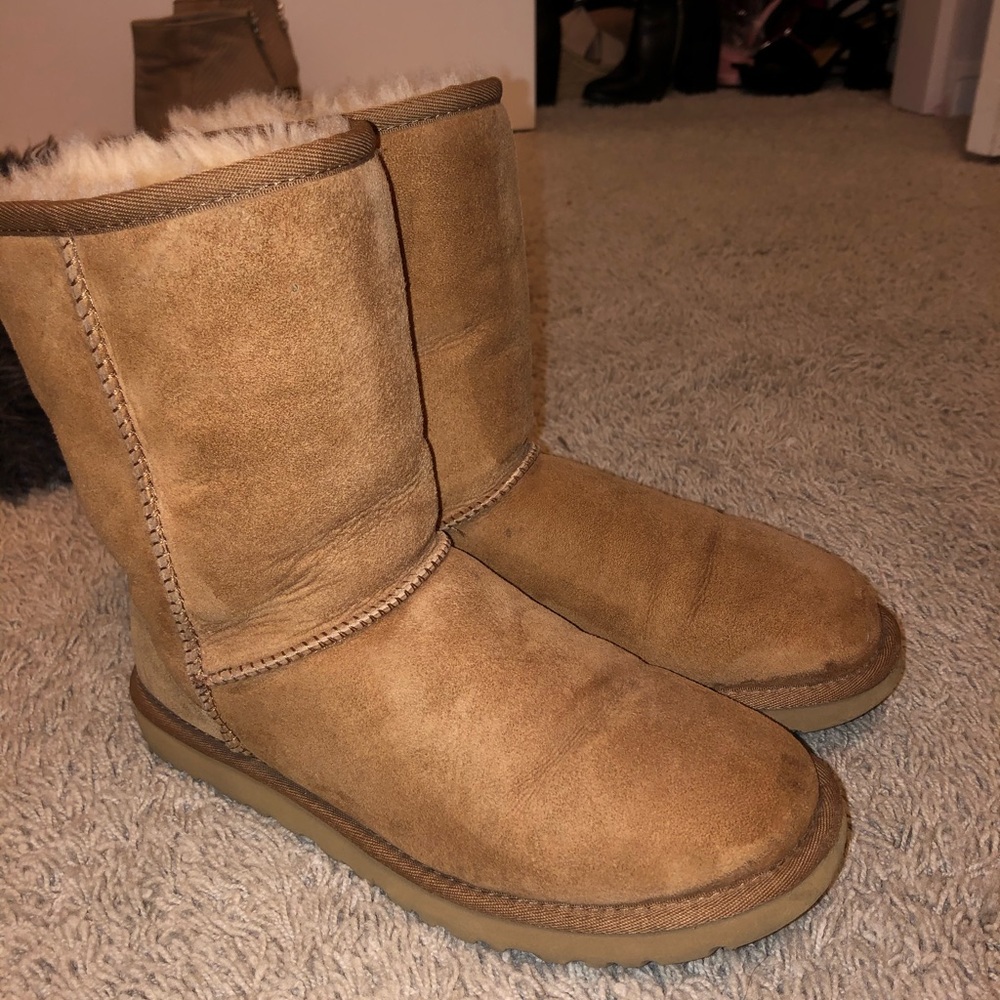 Tan uggs